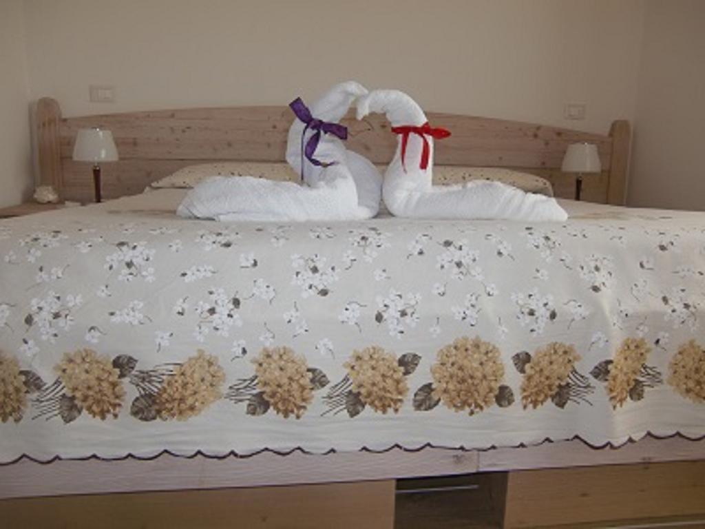 B&B Dolomitincanto Cesiomaggiore Ngoại thất bức ảnh