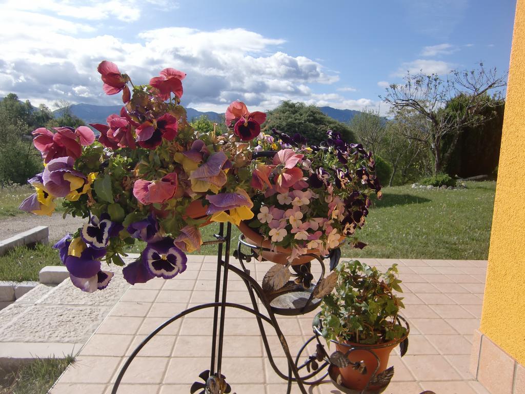 B&B Dolomitincanto Cesiomaggiore Ngoại thất bức ảnh