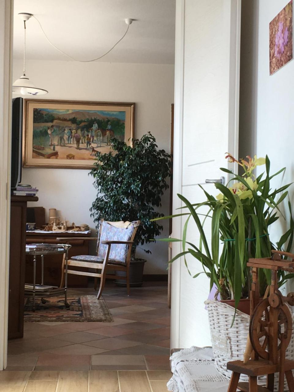 B&B Dolomitincanto Cesiomaggiore Ngoại thất bức ảnh