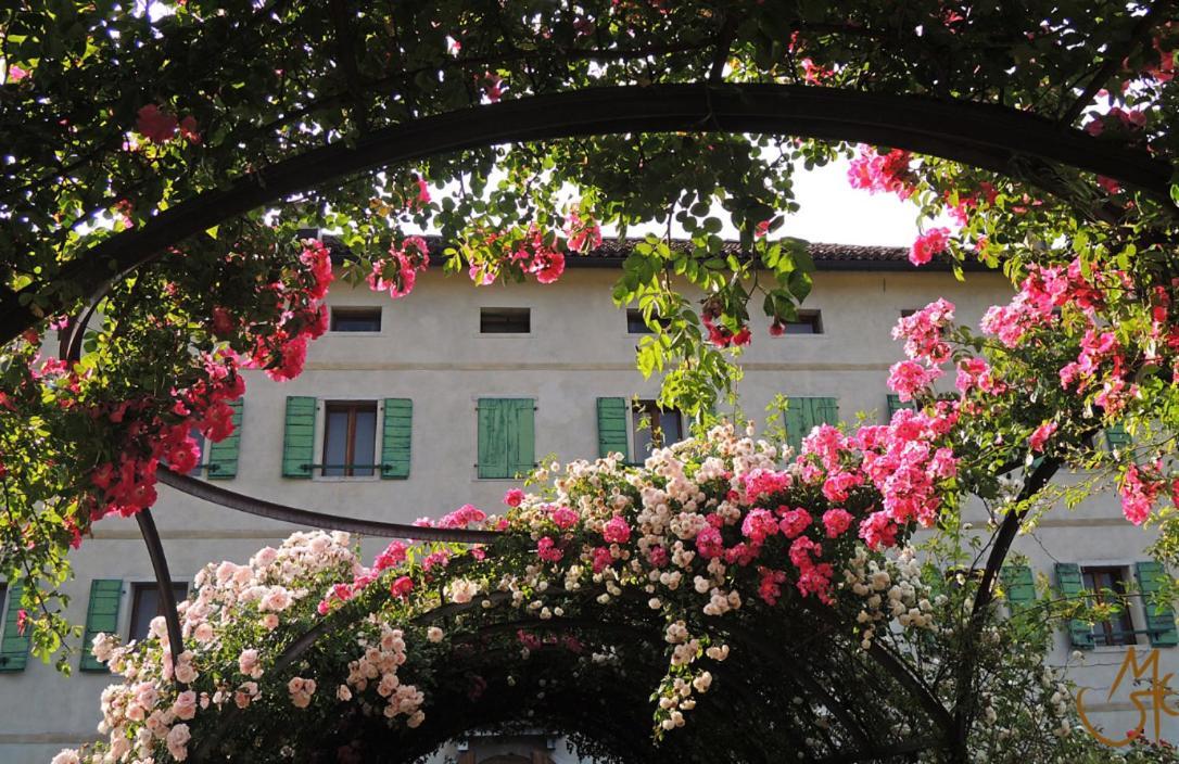 B&B Dolomitincanto Cesiomaggiore Ngoại thất bức ảnh